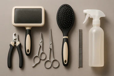 Dog Grooming – Shampoos, Brushes & Care Essentials