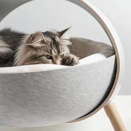 Cat Collection – Food, Toys, Grooming & Accessories