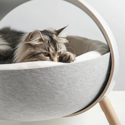 Cat Collection – Food, Toys, Grooming & Accessories