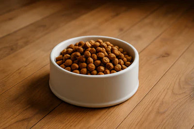 Dog Food – Nutritious Meals & Treats for Every Dog