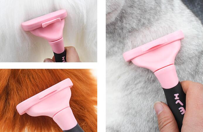 Pet Comb to Remove lice