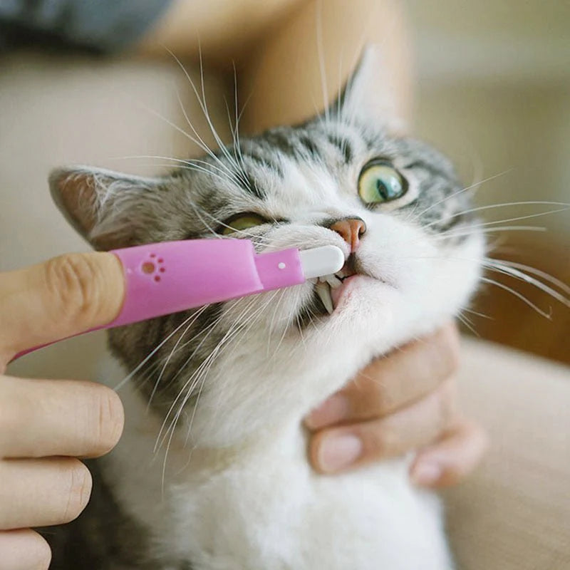 Cat finger Toothbrush