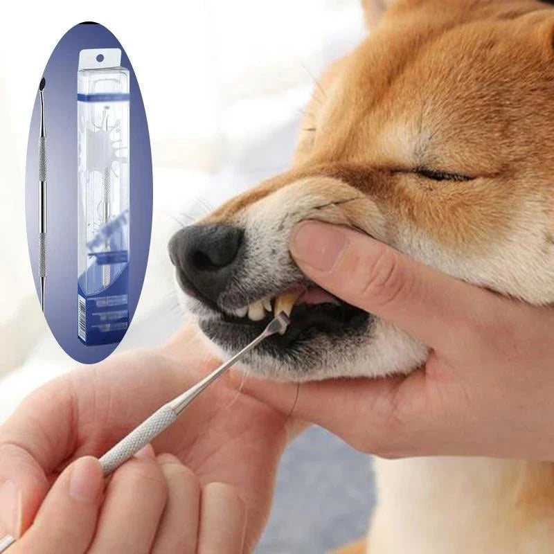 Pet tooth cleaning Stick