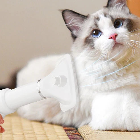 Electric Pet Hair Dryer Comb for Pets