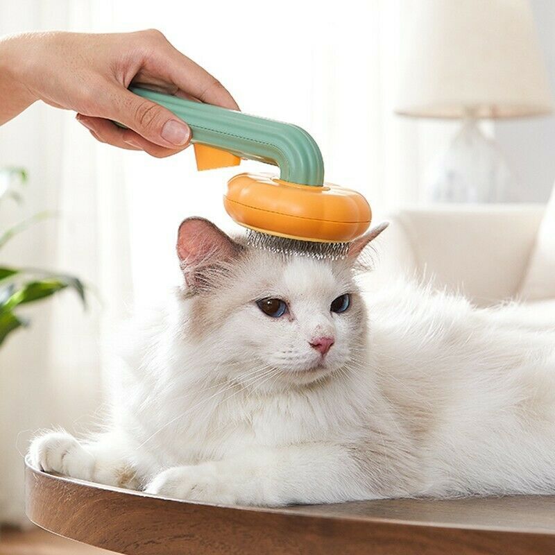 Pet Pumpkin needle brush