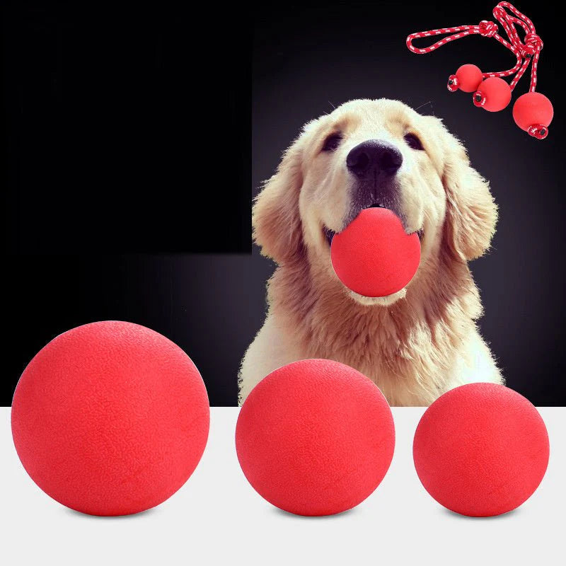 Solid bouncy balls toy for Dogs