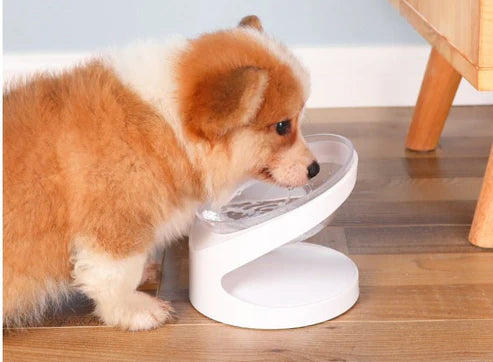 Premium bowl for Pets