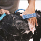 Pet bathing Nozzles full Kit