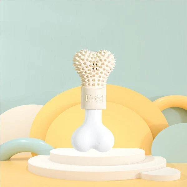 Bone chewing Toy for Dogs