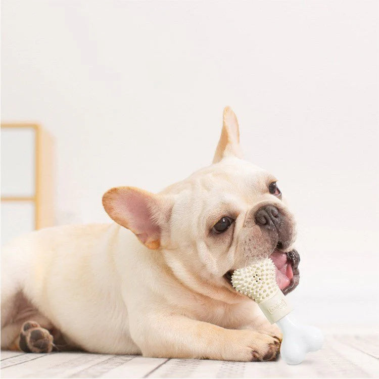 Bone chewing Toy for Dogs