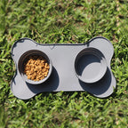 Pet Silicone Tray with Bowls