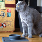 Silicone Anti-Splash Pet Bowl