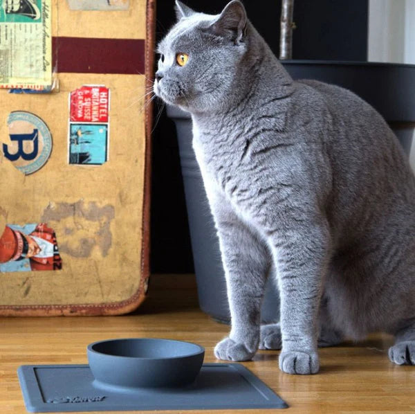 Silicone Anti-Splash Pet Bowl