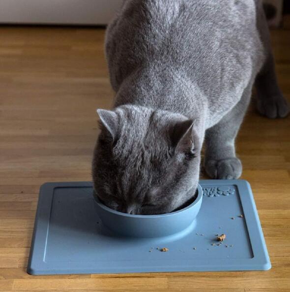 Silicone Anti-Splash Pet Bowl