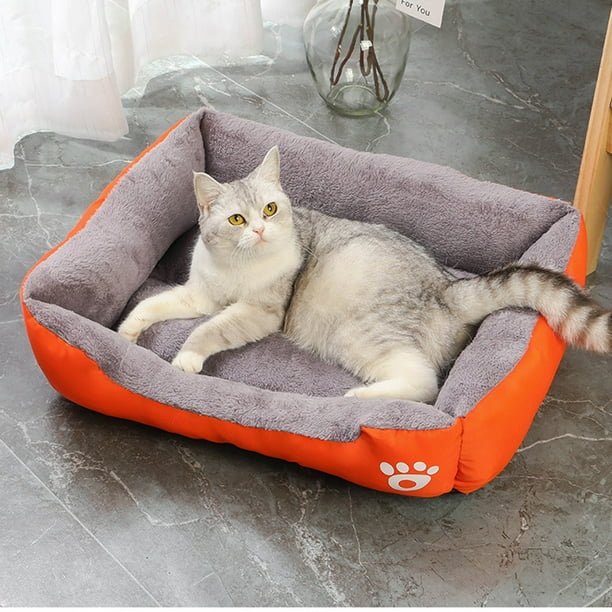 Soft & Comfortable bed